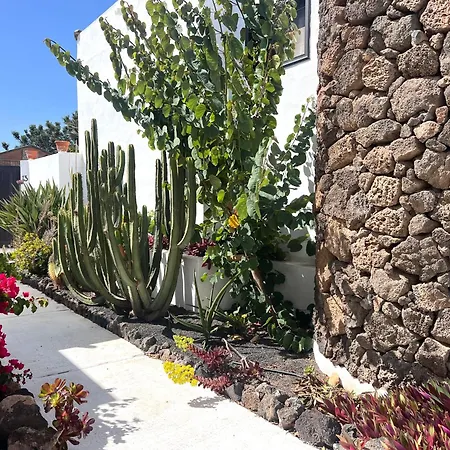 Oasis En Lanzarote Коста-Тегисе