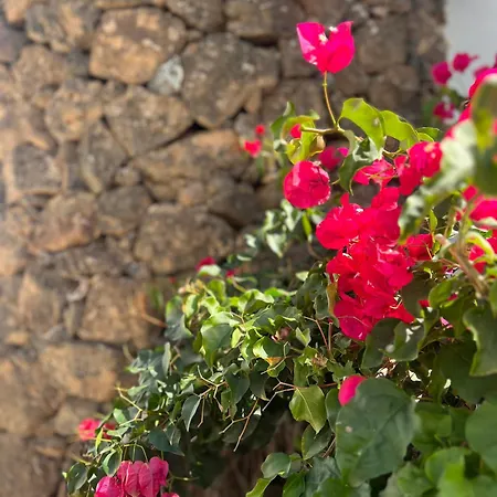 Vakantiehuis Oasis En Lanzarote *