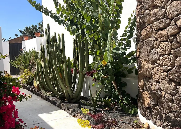 Oasis En Lanzarote * Costa Teguise