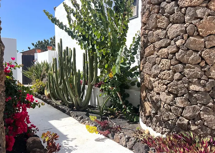 Oasis En Lanzarote Costa Teguise