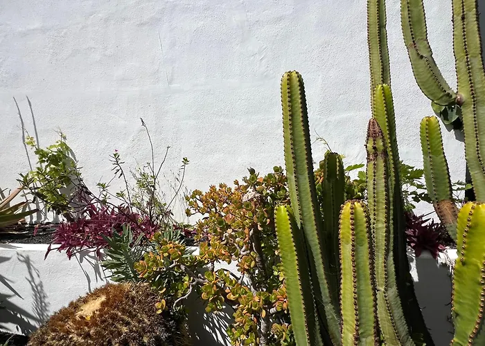 Oasis En Lanzarote Hébergement de vacances