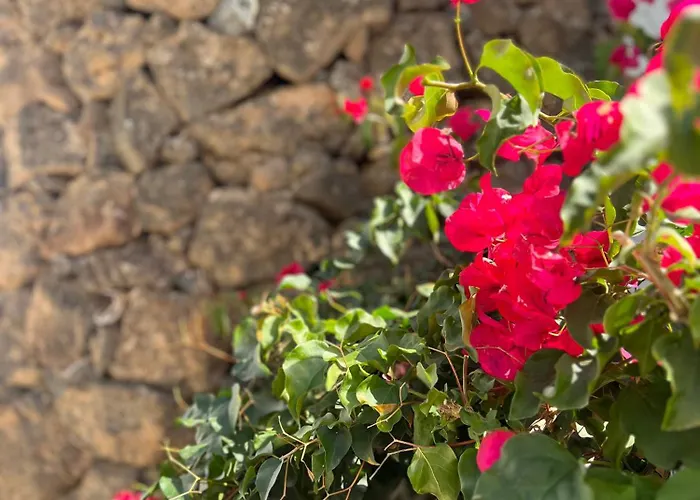 Hébergement de vacances Oasis En Lanzarote *