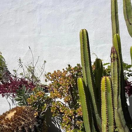 Oasis En Lanzarote Vakantiehuis